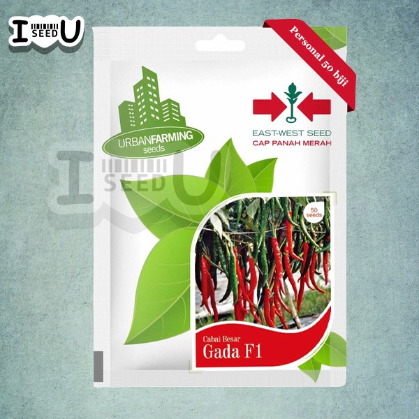 Bibit-Biji Cabe Besar Gada F1 - Cap Panah Merah