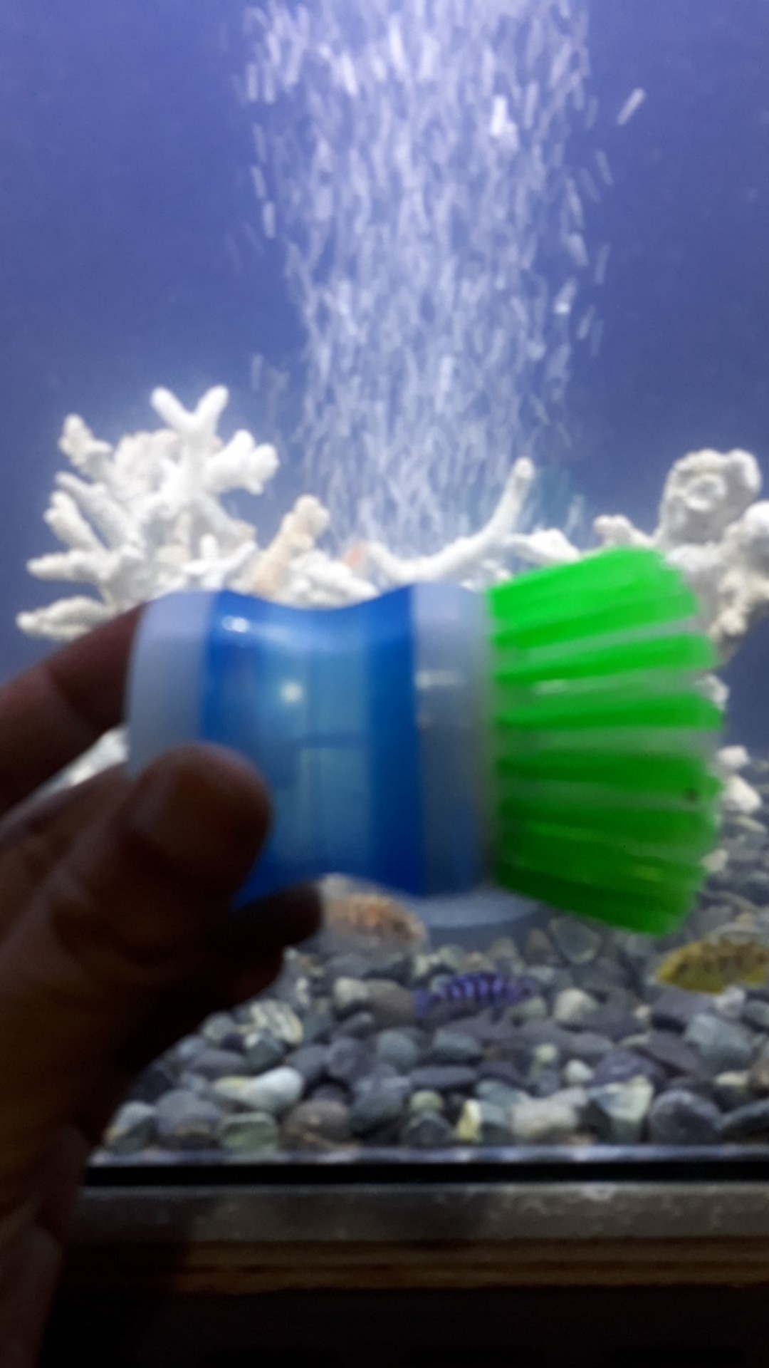 Alat Sikat Aquarium Soliter Botol Panci Dispenser Tempat Sabun Cair Dapur Cuci Piring Spons - Random