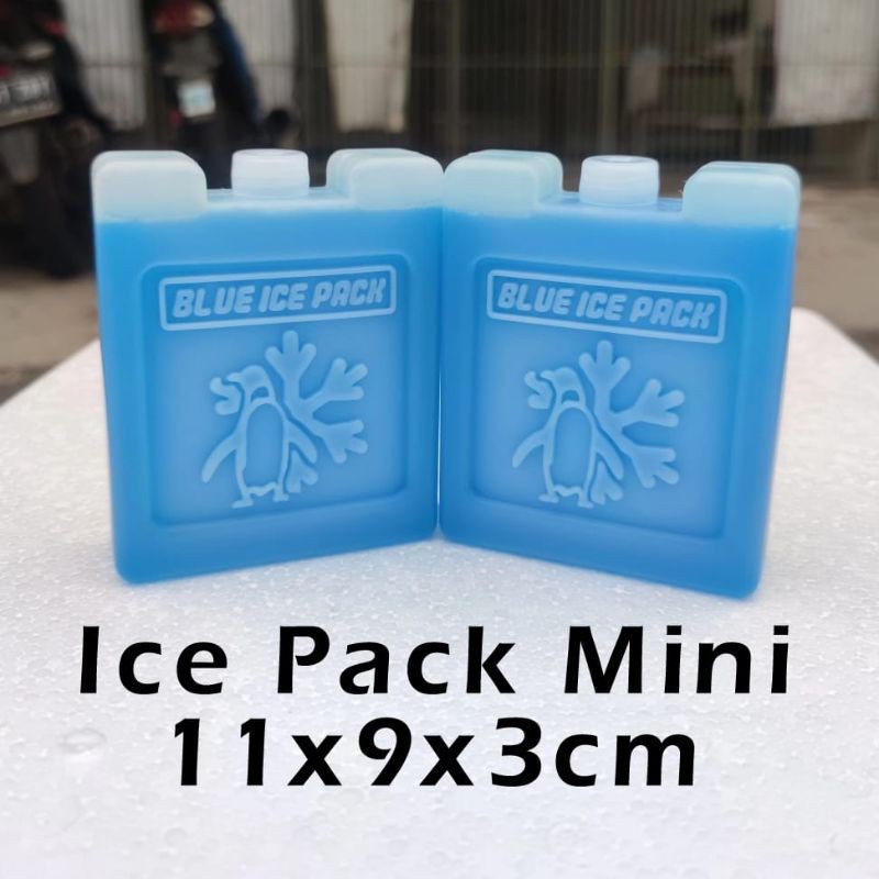 Ice Pack Kecil Blue Ice Pack Kotak Mini Reusable Pengganti Dry Ice