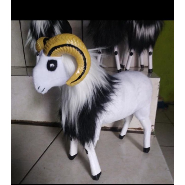 miniatur domba