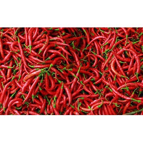 

Cabe Merah 250 Gram