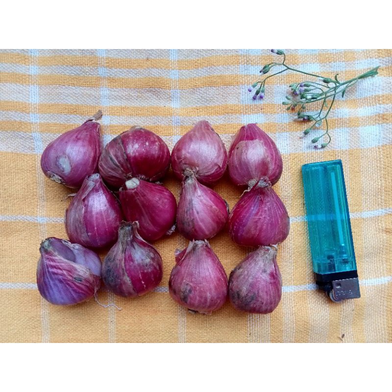 

bawang merah