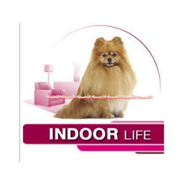 Royal Canin Indoor Life Junior 1.5kg Makanan Anjing Junior Dog Food