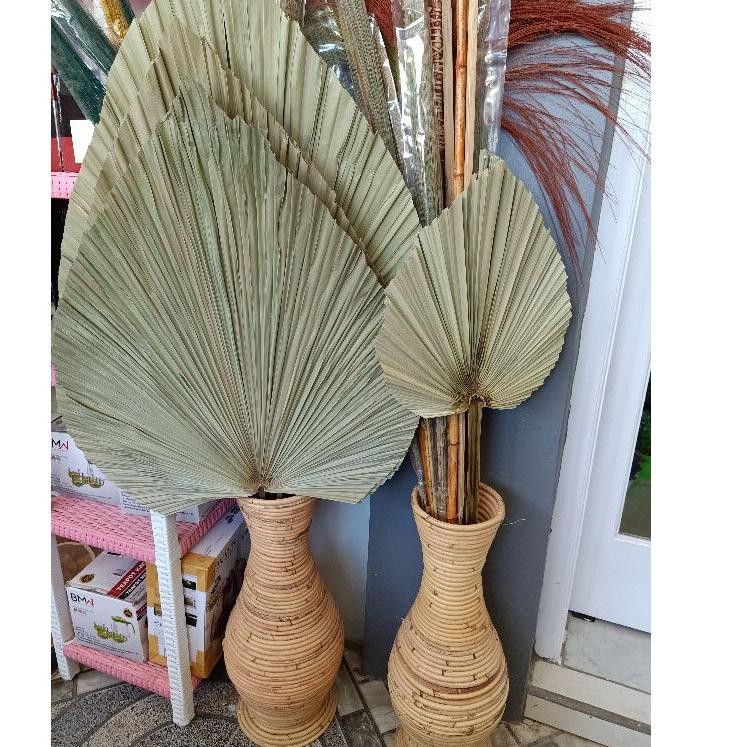 FQ7 Rayung ( tanpa pot ya) / Rayung kipas / rayung pampas / banana leaf / palem kering / rayung bana