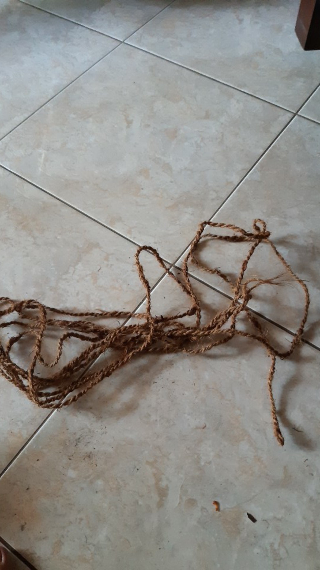 Tali Tambang Ijuk Serabut Kelapa Coir Rope Distributor Jaksel M Qq