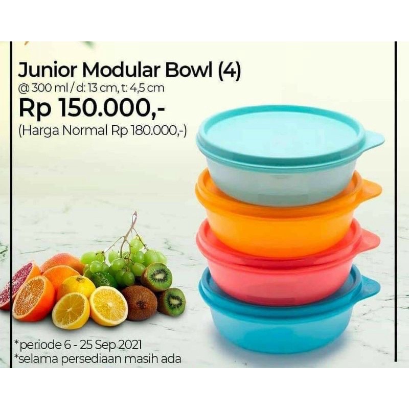 Junior modular bowl set (4)
