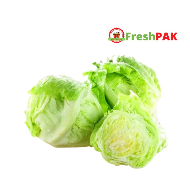 

FreshPAK - Lettuce Head 400-600/ Sayur Lektus Segar / Sayur Segar / Sayuran Segar