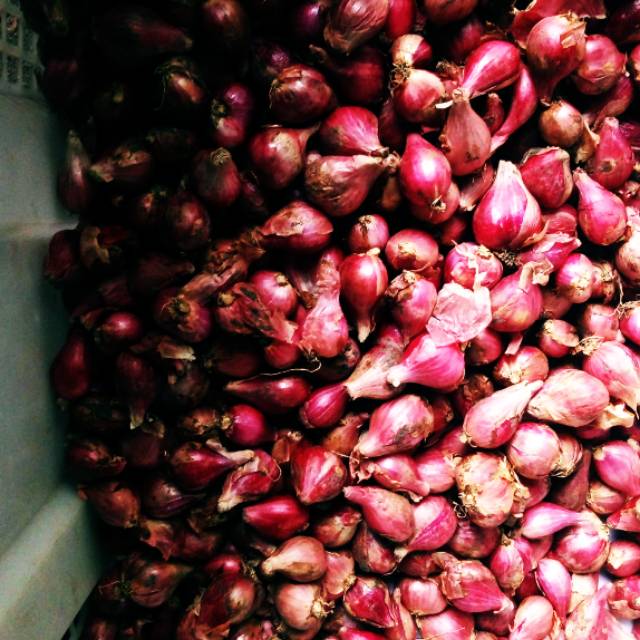 

Bawang merah Brebes super ukuram kecil-sedang per Kg