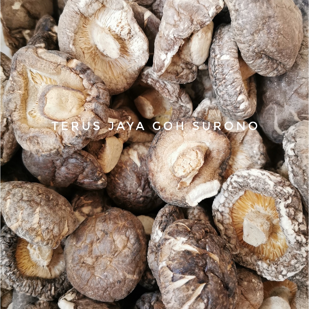 

Jamur Shitake 100g 3-4cm, 5-7 cm