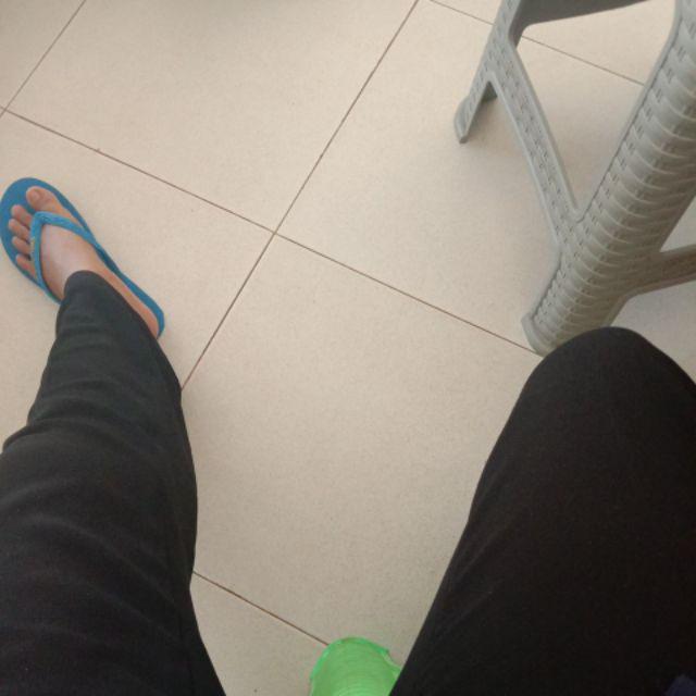 3lusin Cetakan Bunga Tulip