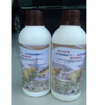 Probiotik Ternak Organik Bakteri Nitrobacter Nitrosomonas