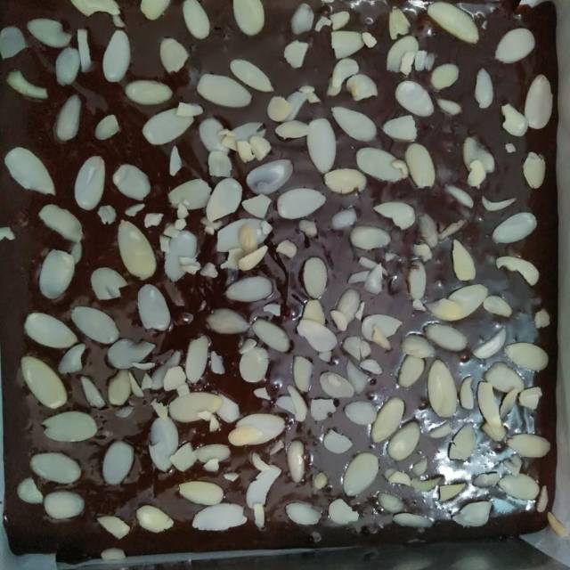 

Brownise Chewey ukuran 22x22x4cm