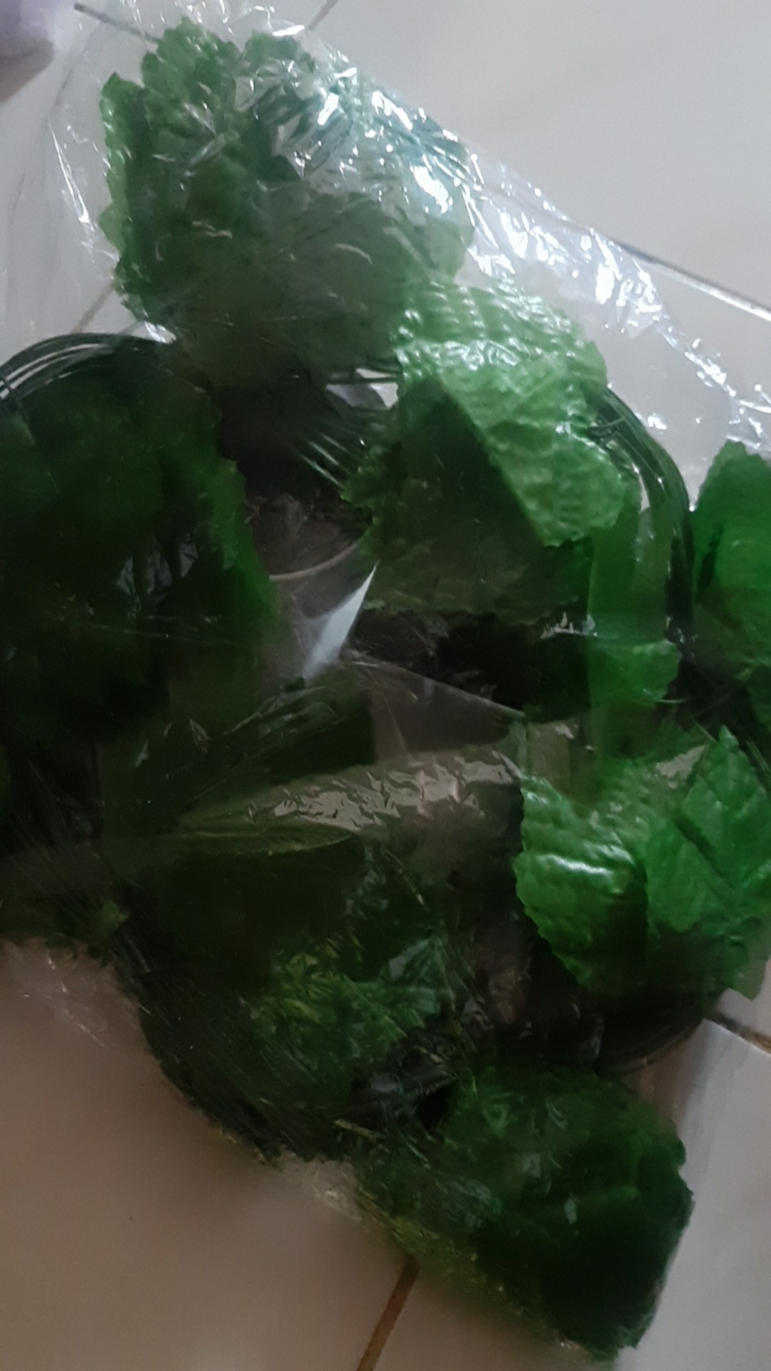 Mystyle Daun Rambat Juntai Bunga Plastik 90x9 Pcs Hias Artifisial Dekorasi Dinding Daun Rambat