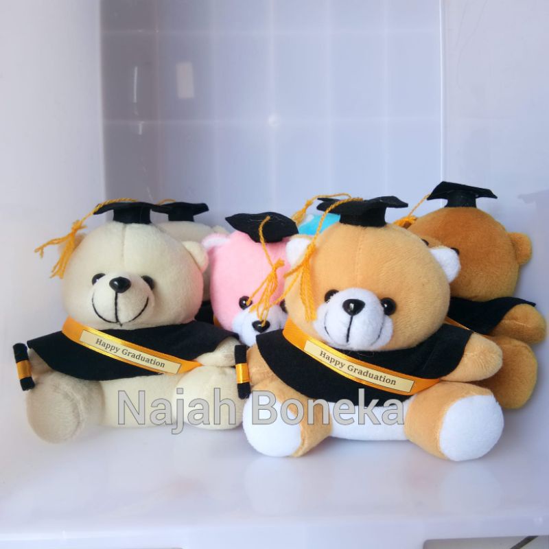 Boneka wisuda size 16 cm free request selempang nama Gemuk dan gemoy