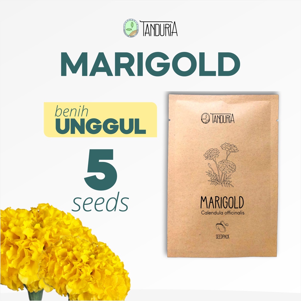 MARIGOLD