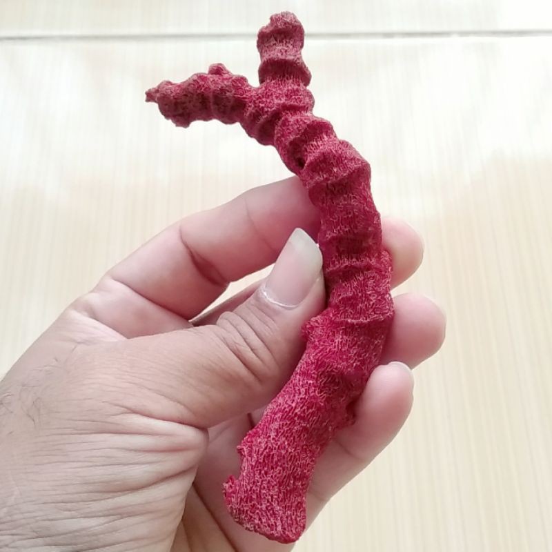 Batu Natural Red Coral / Marjan Merah Karang Laut Asli 01