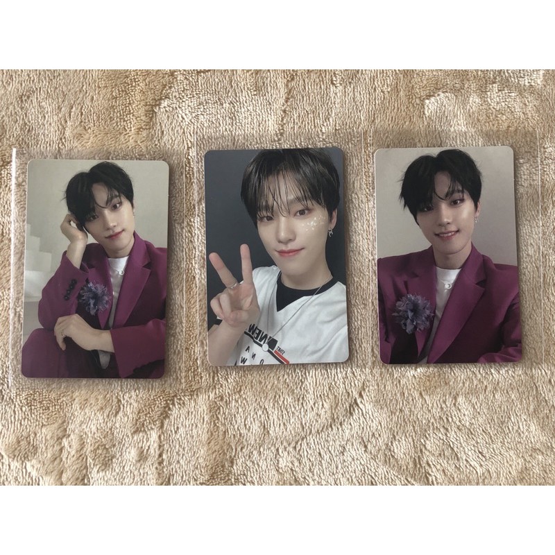 SEVENTEEN PC DINO FALLIN’ FLOWER FLFL