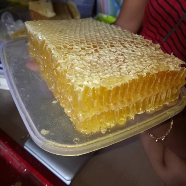 

sarang madu melifera ( 250 grm )