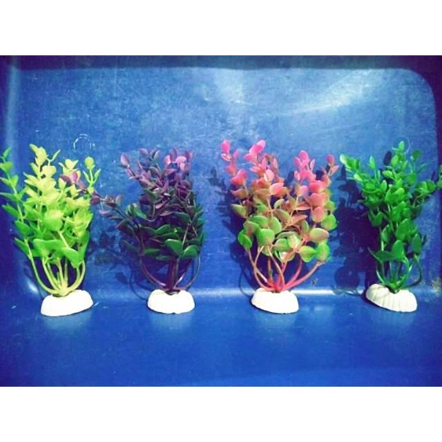  Hiasan  aquarium  BUNGA  PLASTIK  15CM Shopee Indonesia