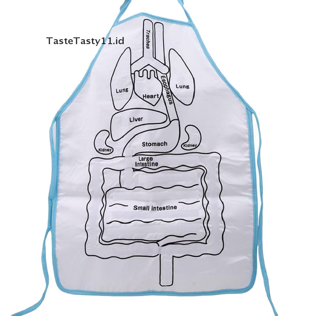 (TasteTasty) Apron / Celemek Motif Organ Tubuh Manusia Untuk Edukasi Anak