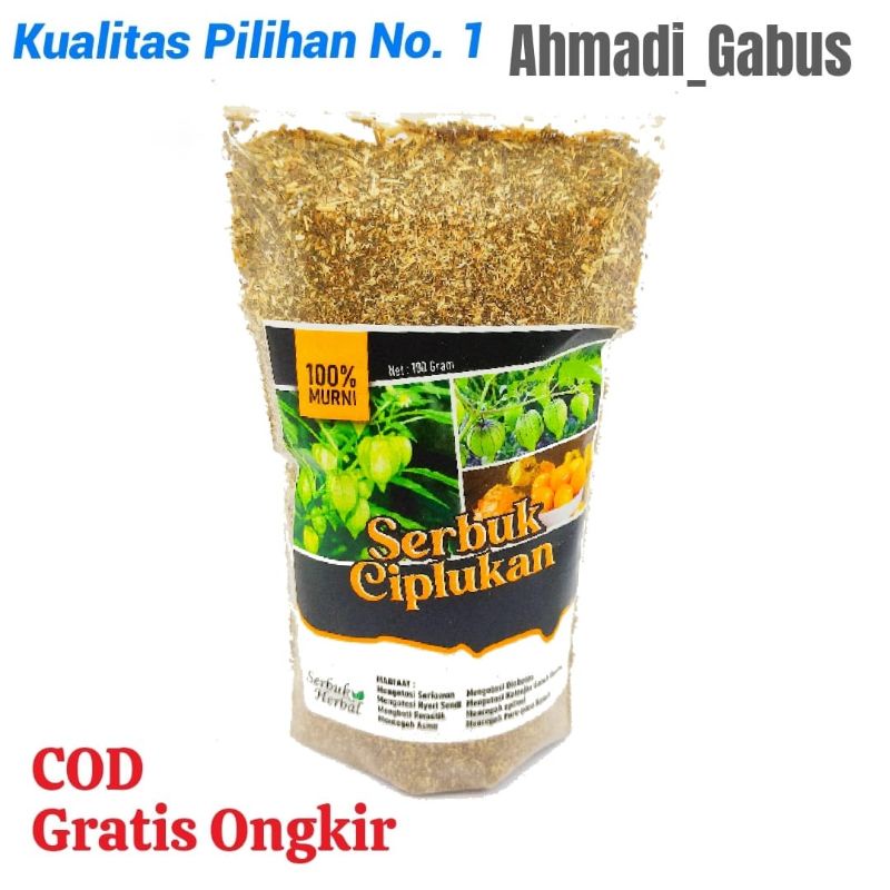

Serbuk Daun Ciplukan 100 gram, Bubuk Daun Ciplukan 100 gram