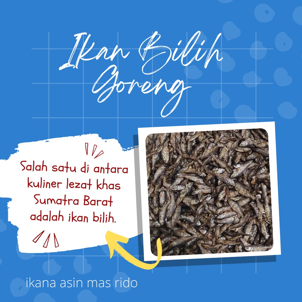 

Ikan Bilih Asli Danau Singkarak Ikan Bilih Goreng Enak Termurah