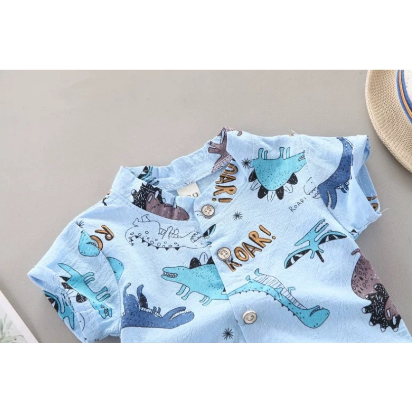 Kemeja Triceratops 6M - 2Y Setelan Kemeja Dinosaurus Import High Quality Kemeja Katun Motif Dino Adem CBKS