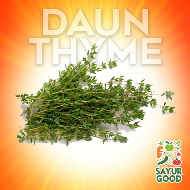 

Daun Thyme Segar/ Thyme / Pack