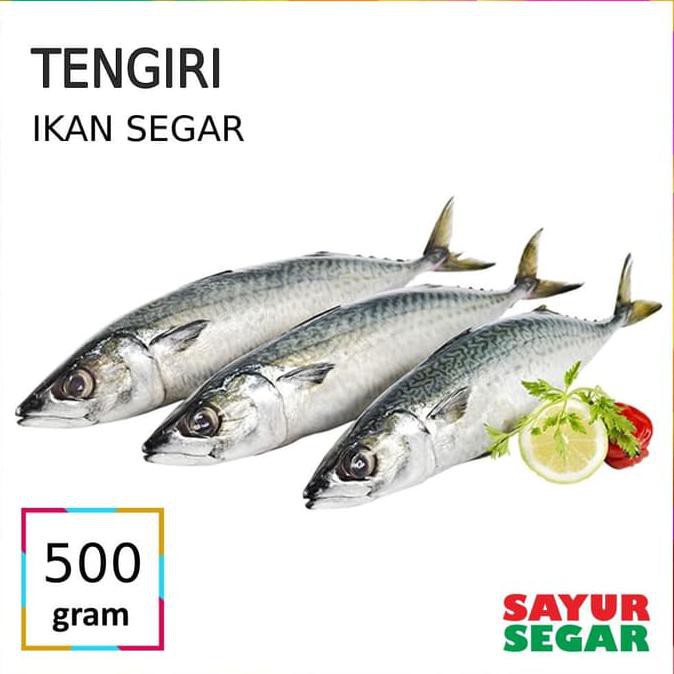 

Bestseller! Ikan Tenggiri 500G