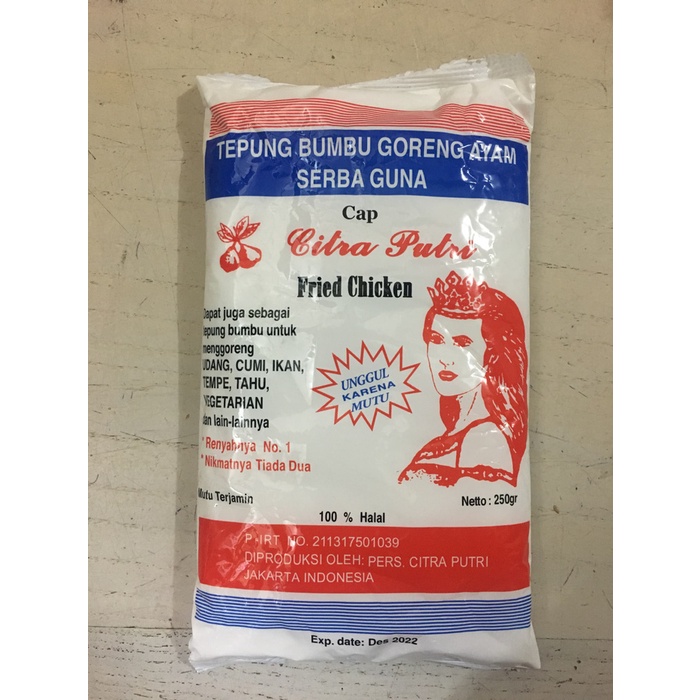 

D02D1 Tepung Citra Putri Bumbu Goreng Serbaguna Da01D100