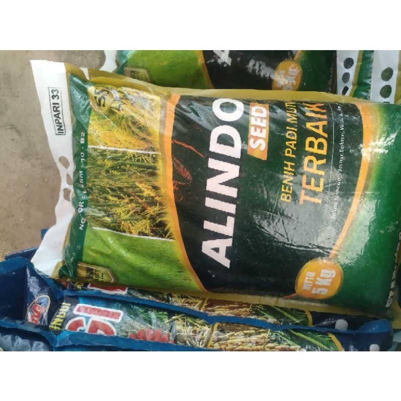 BENIH PADI INPARI 33 BIBIT PADI UNGGUL KEMASAN 5 KG