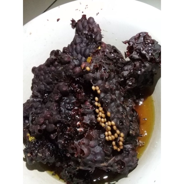 

Madu klanceng/kelulut