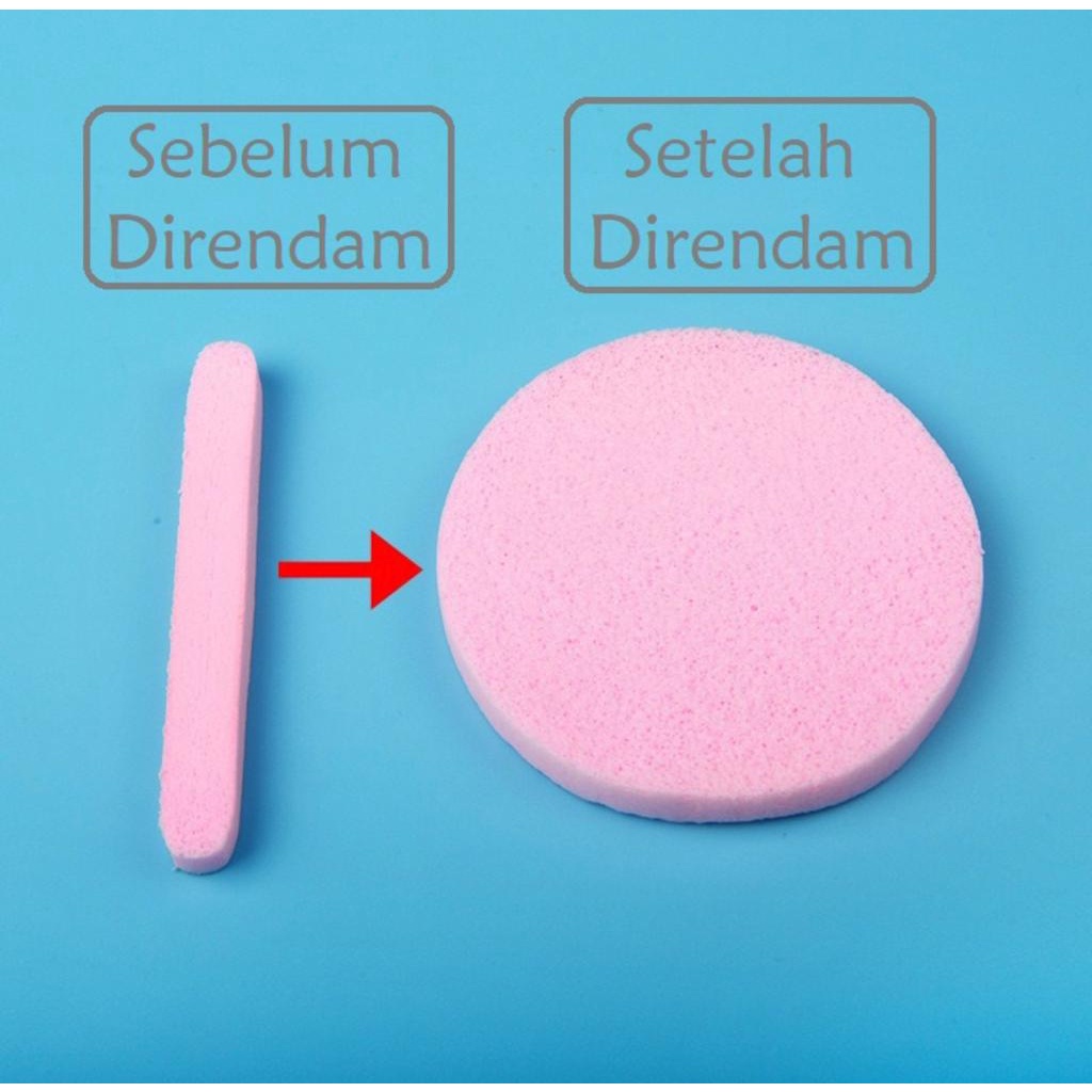 Compressed Facial Sponge / Spon Kentang Beauty / Sponge Stick 12 batang