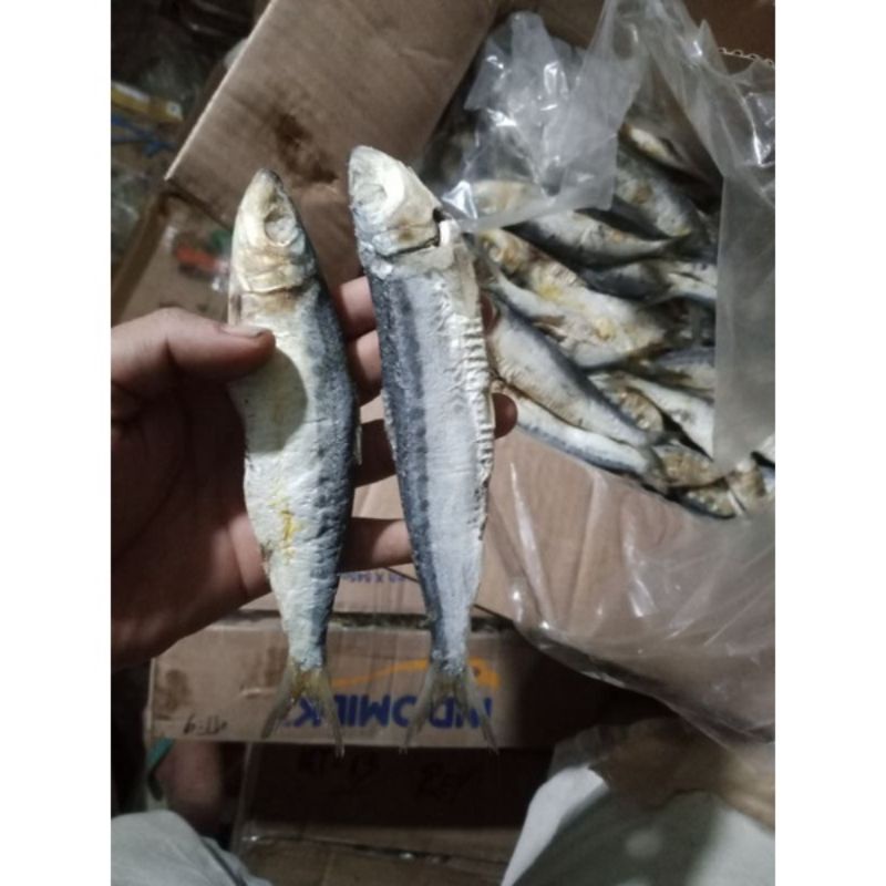 

ikan asin japo