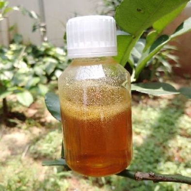 

Madu Asli Murni Multiflora 125 Gram