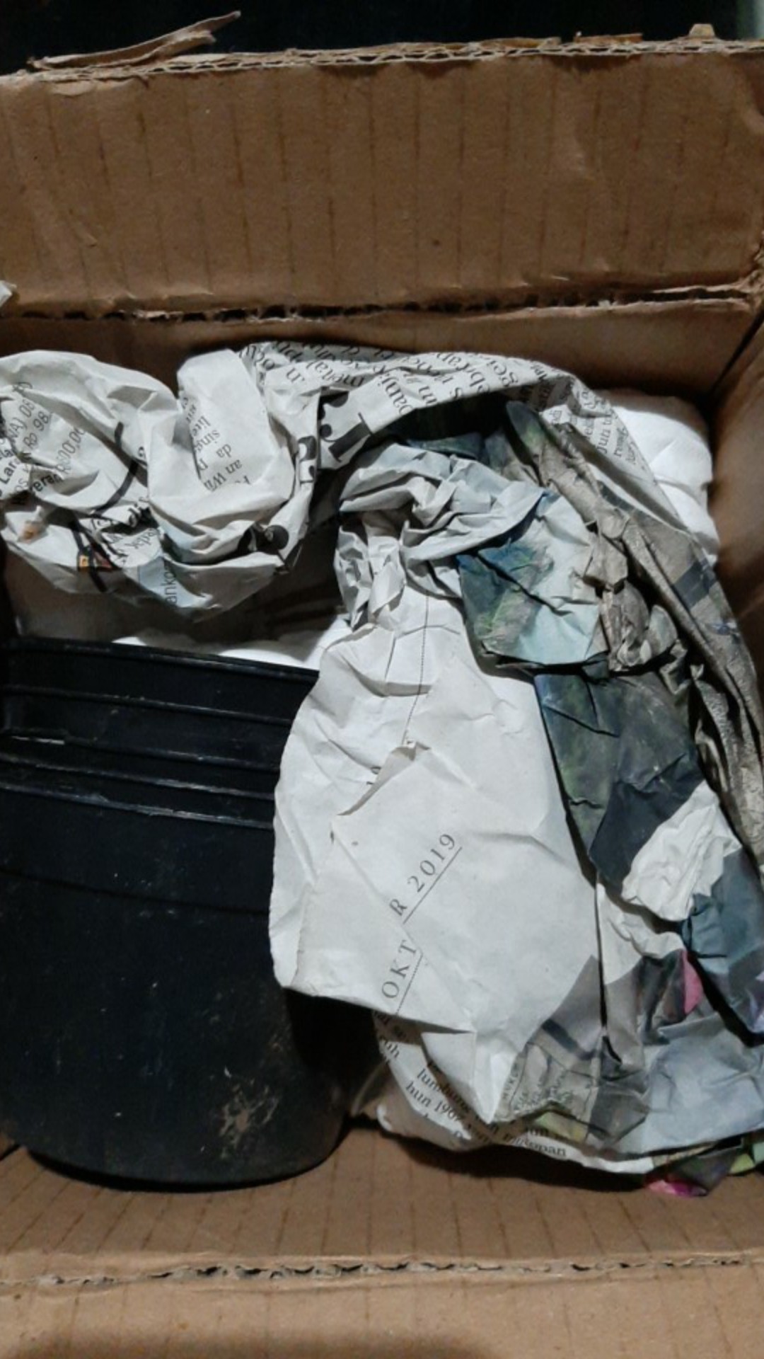 Paket Tanaman Hias Sukulen Sekulen Medium Random