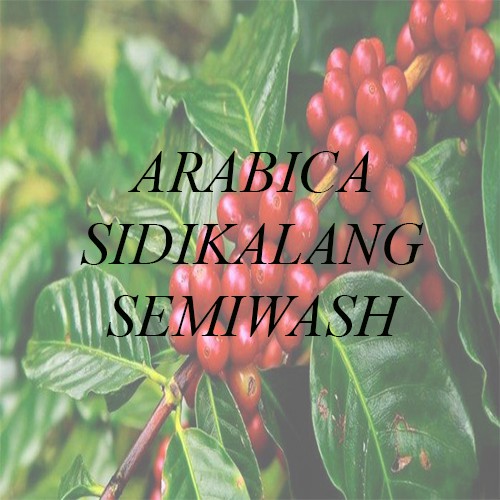 

[Green Bean] Arabika Sidikalang Semiwash