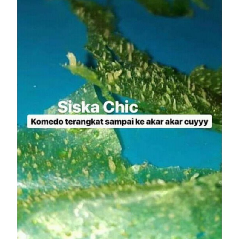 MASKER KOMEDO SISCA CHIC