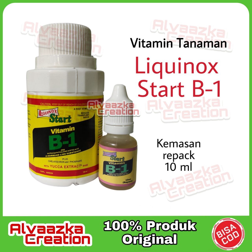 Jual Vitamin B1 Liquinox Original 10 Ml - Obat Anti Stress Untuk ...