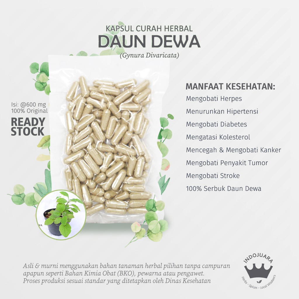 

DAUN DEWA 200 x 600mg Kapsul Curah Herbal Stroke Rematik Diabetes Ganglion Kanker Batuk Darah Wasir