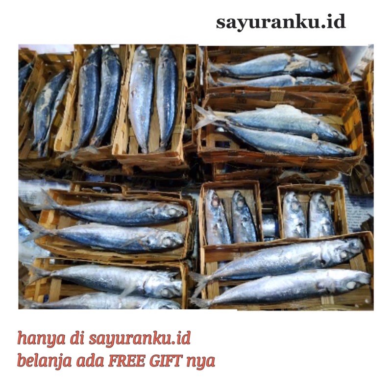 

ikan cue keranjang/ ikan cue kranjang/ ikan cue layang isi 2 ekor