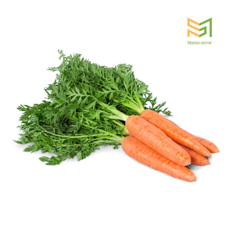 

Wortel lokal segar per pack