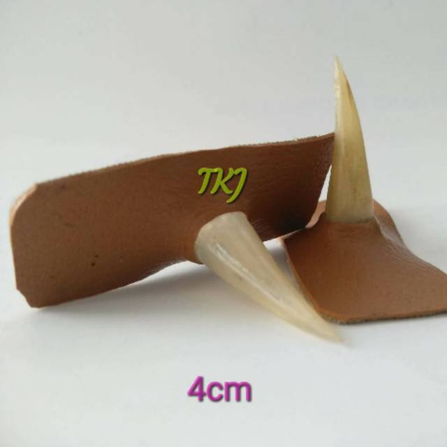 Jalu ayam , taji ayam