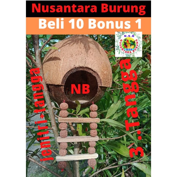 RUMAH BURUNG GLODOK BURUNG MURAI BURUNG LOVE BIRD BATOK KELAPA