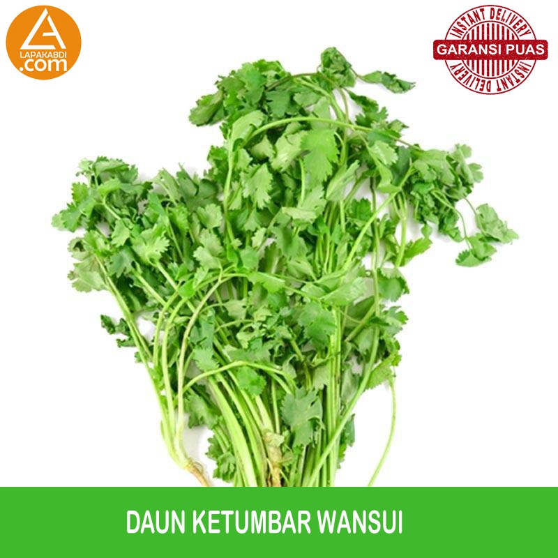 

Daun Ketumbar Wansui 100gr Garansi Termurah