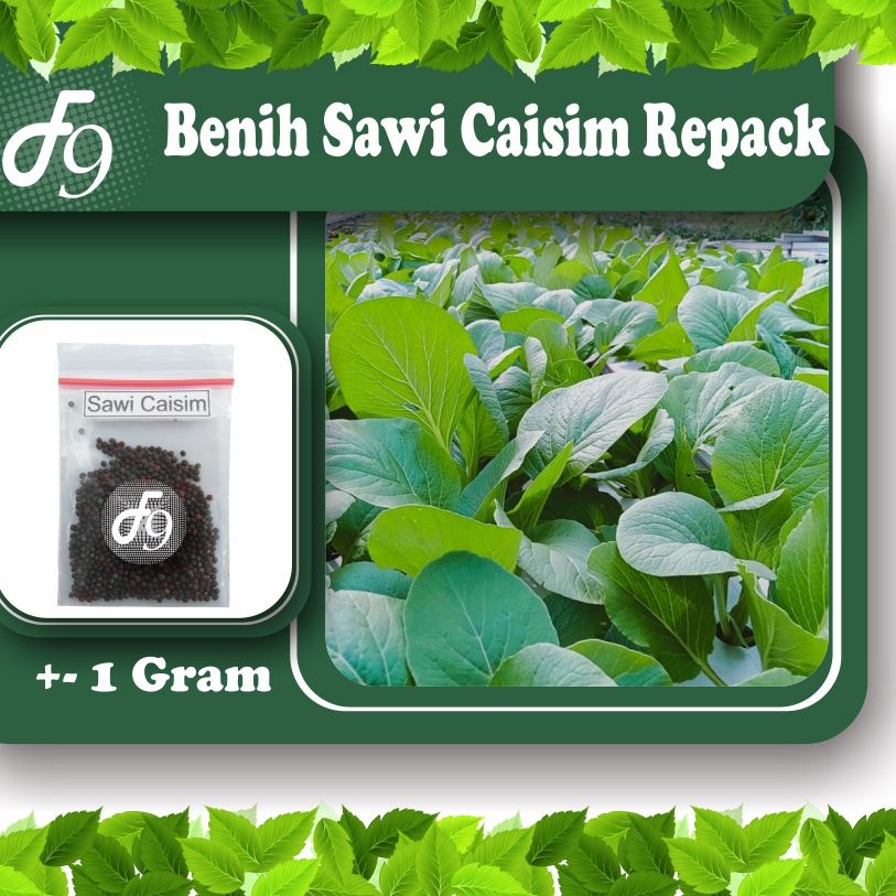 Benih Bibit Sawi Caisim Murah Repack Seribuan