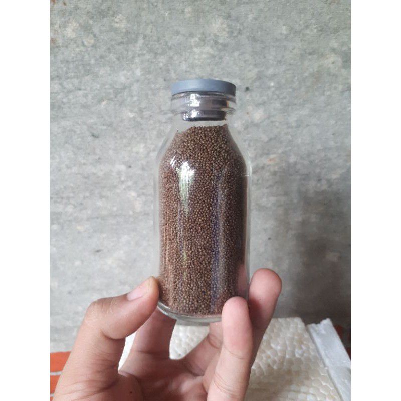 Pakan Ikan Cupang + Botol Kaca Kecil Isi 100ml | Siap Pakai