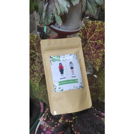 TehJaib Pelangsing dan detox tubuh