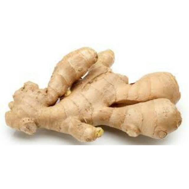 

Jahe fresh per 250 gr