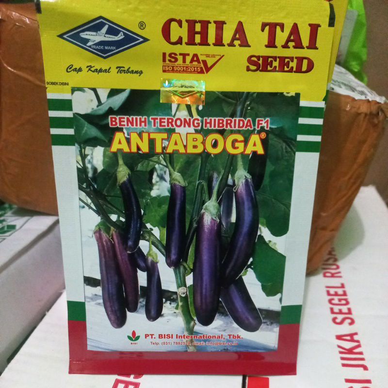 Benih Terong Ungu Antaboga f1 isi 10 gram